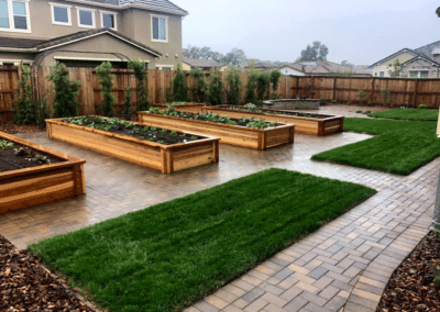 Planting