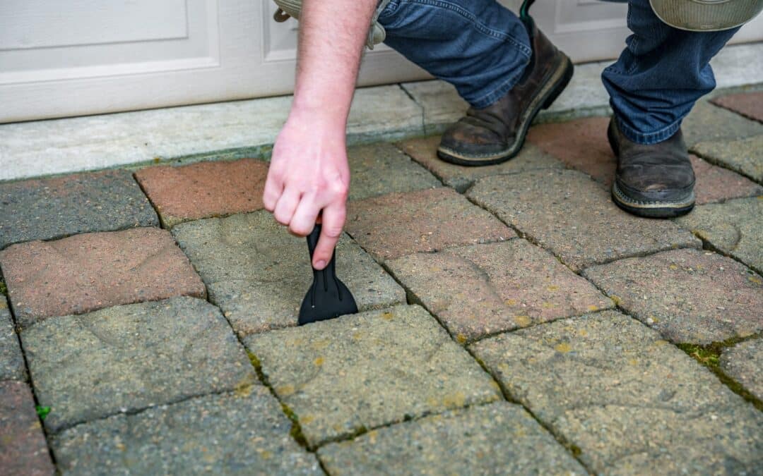 “Maintenance Tips for Keeping Your Pavers Looking New”