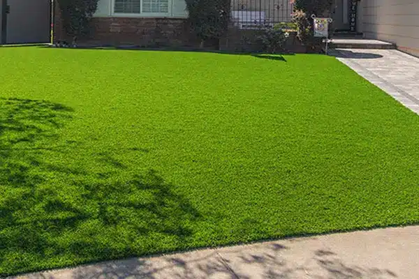 Turf